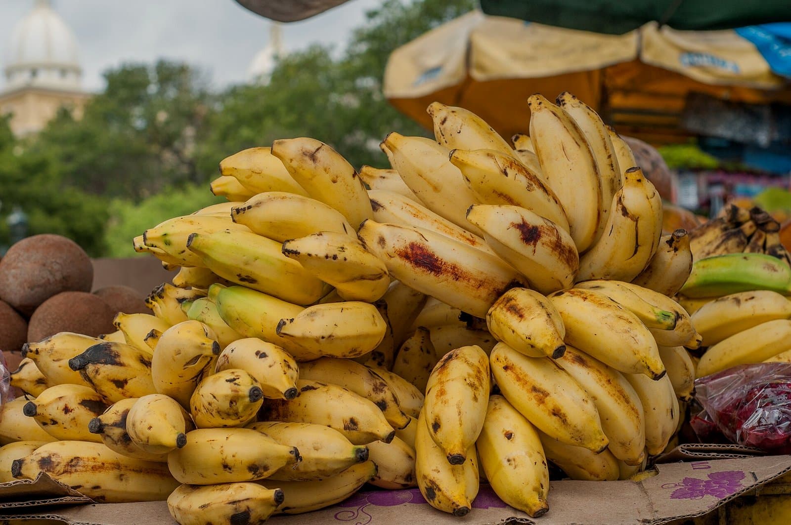 A bunch of bananas