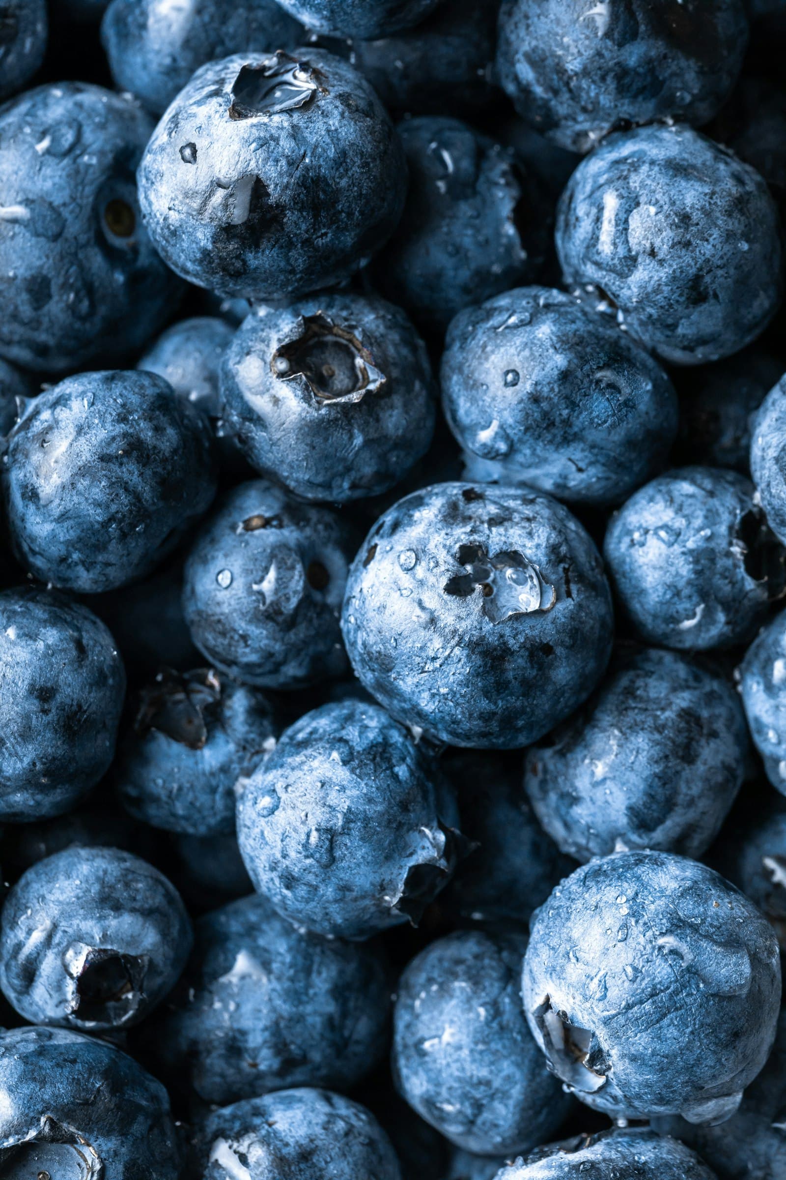 Fresh blueberries clustered together
