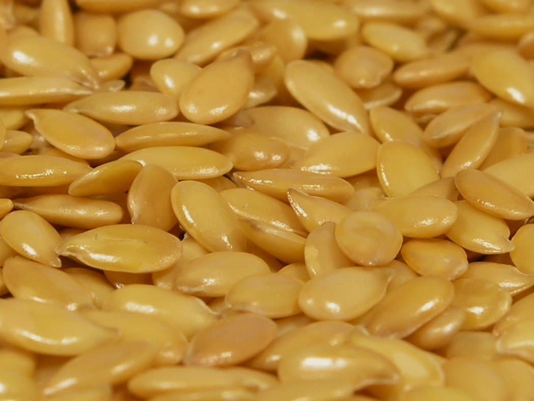 Brown flax seeds