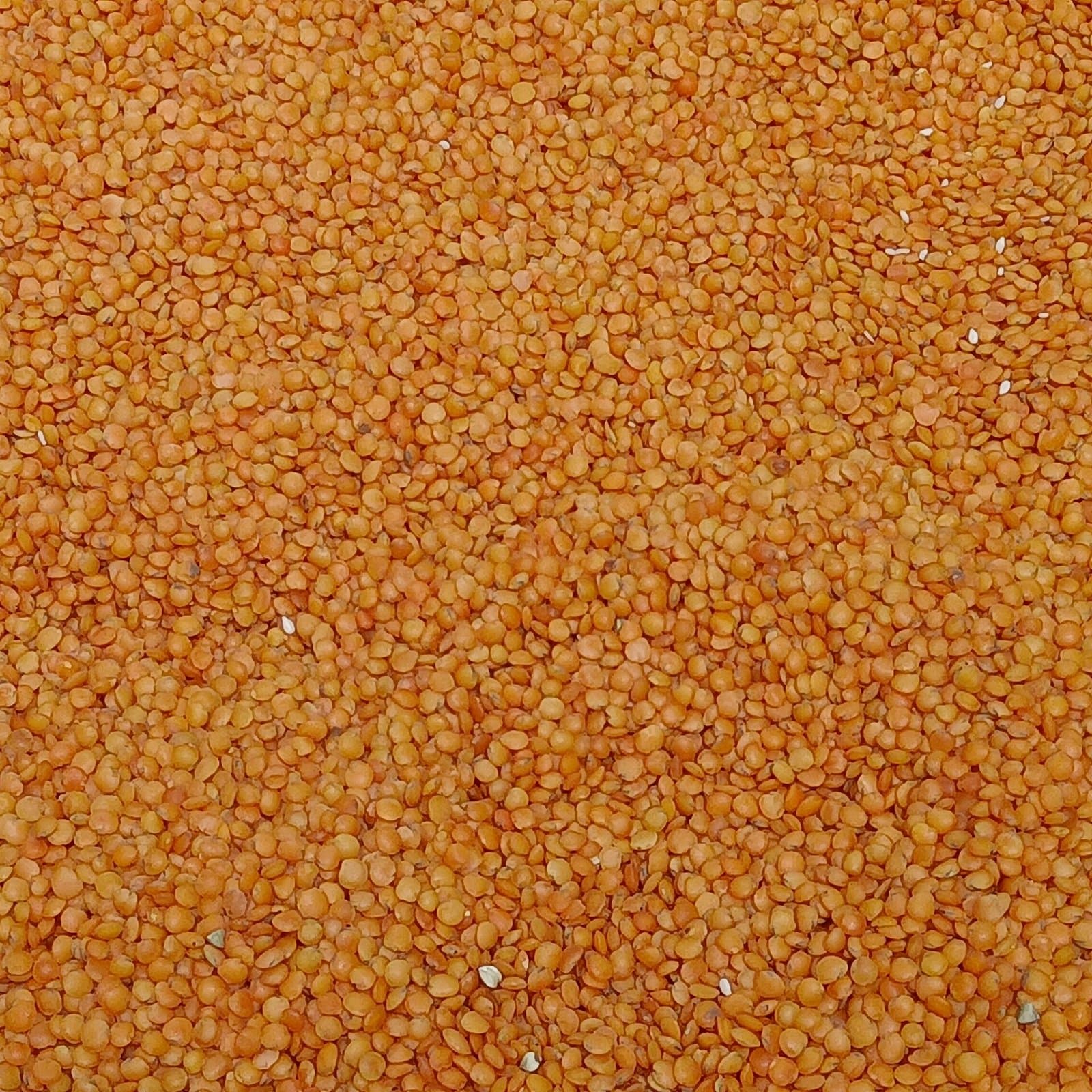 Red lentils