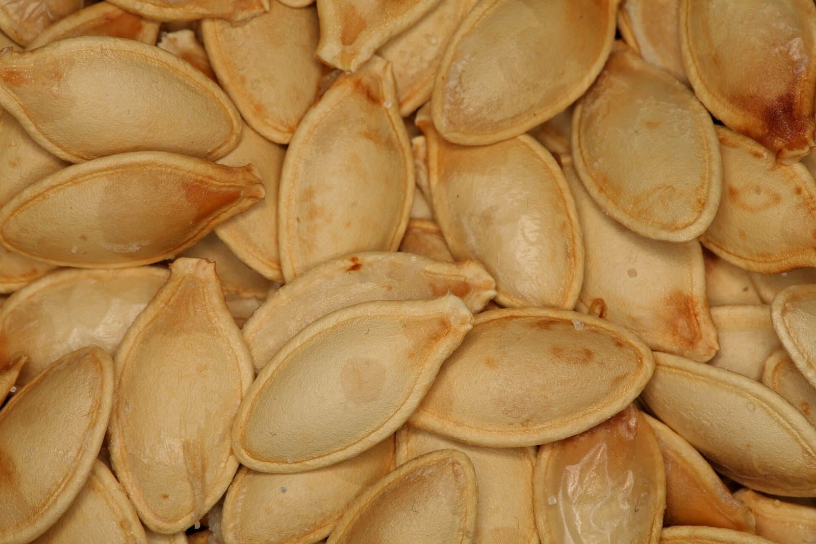 Pumpkin seeds in close-up